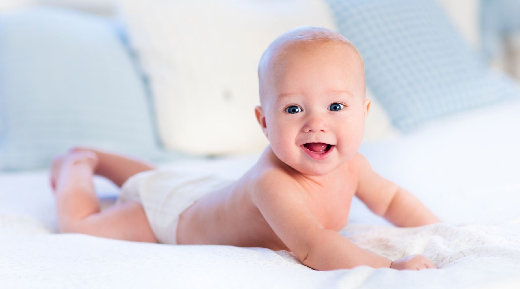 日本ハプトノミー協会