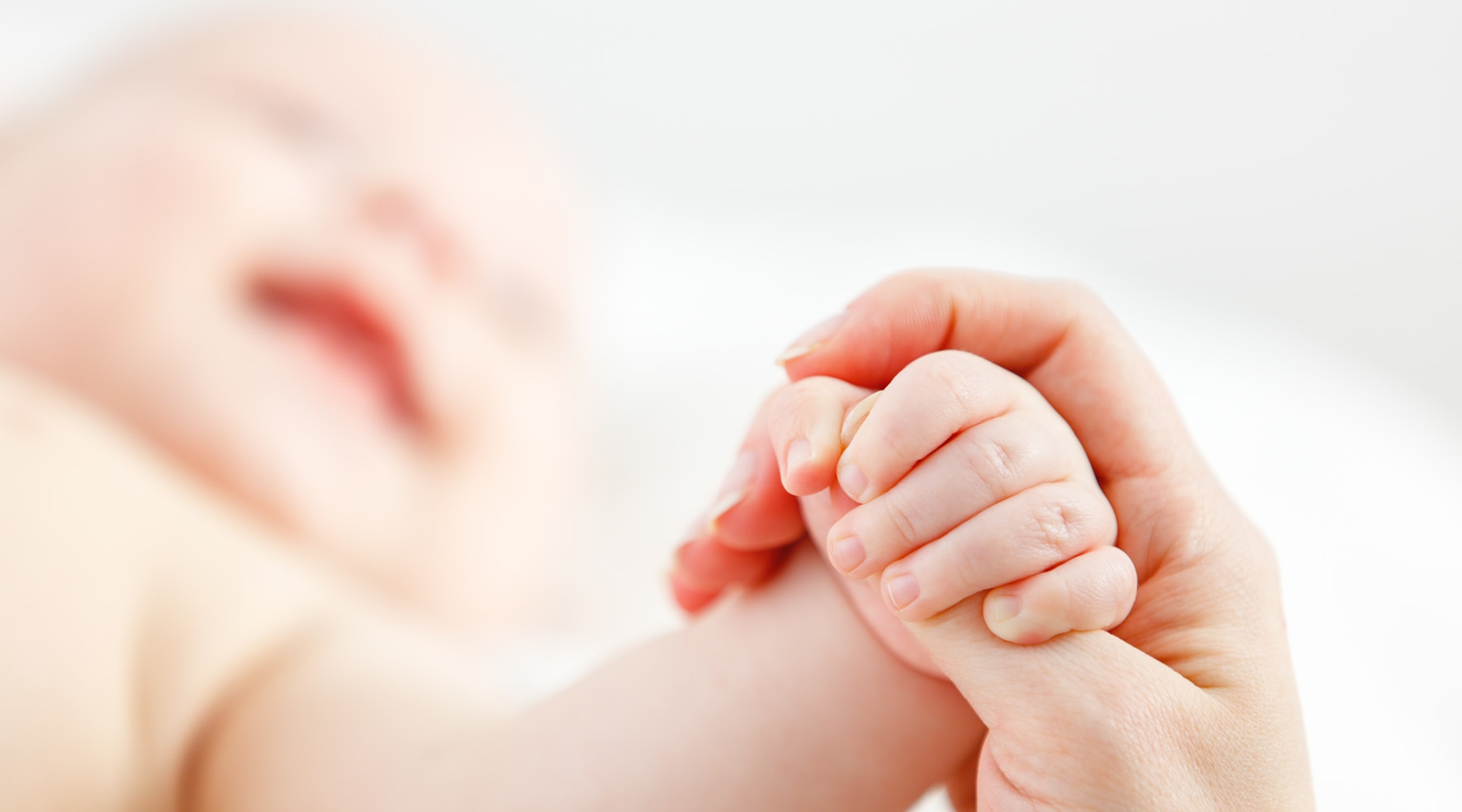 日本ハプトノミー協会